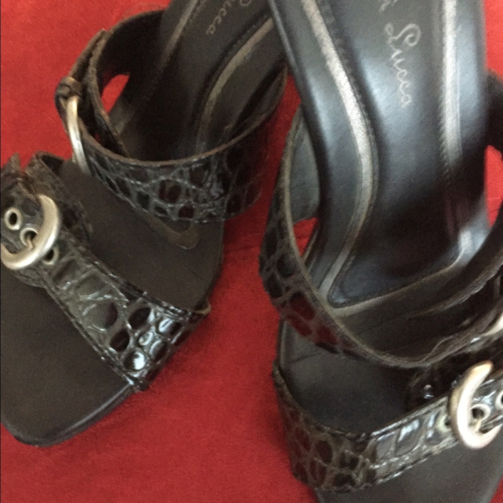 Diego Di Luca. Dark blue wedges